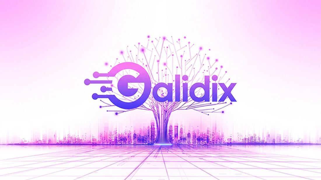 Galidix: Información esencial del mercado