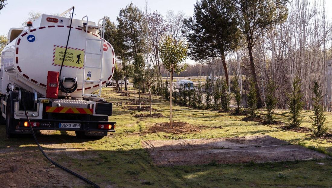 Más verde en uno de los accesos a Boadilla: 115 nuevos árboles junto a la depuradora