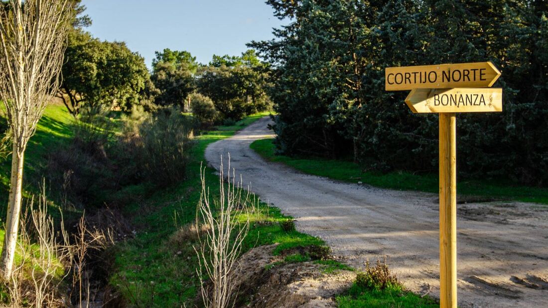 Nueva senda peatonal y ciclista para conectar tres urbanizaciones de Boadilla