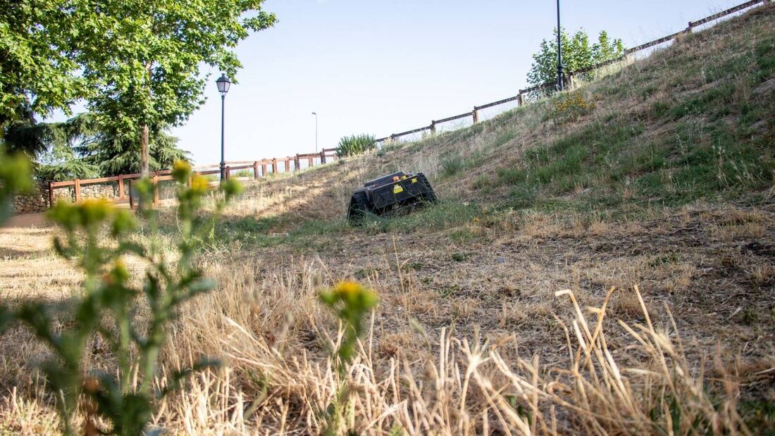Boadilla ha completado ya el 80% de la campaña de desbroce en más de 400 hectáreas